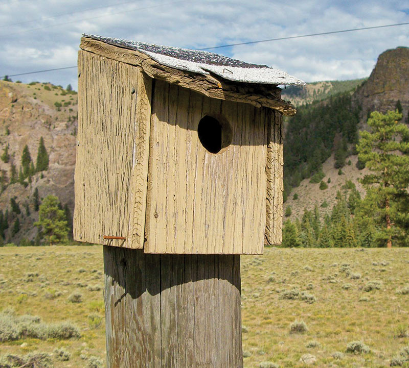 birdhouse